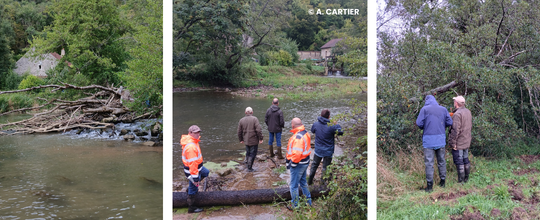 Travaux arasement seuil Moulin