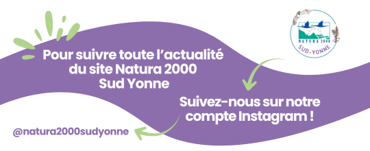 Suivez-nous sur Instagram