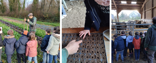 CLEAlim CP 2025-2026