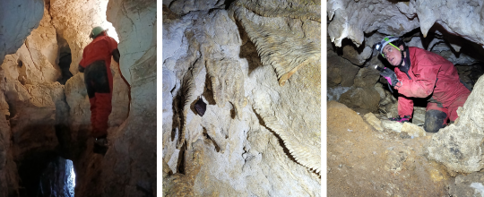 Spéléo-chiroptérologie