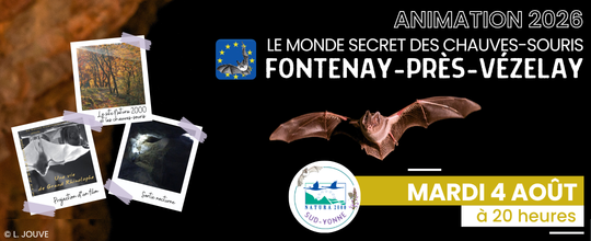 Nuit internationale de la chauve-souris