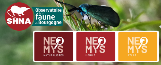 NEOMYS