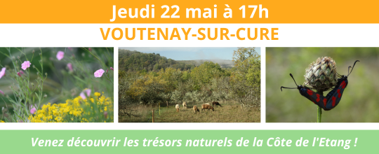 Fête de la Nature 2025 à Voutenay-sur-Cure