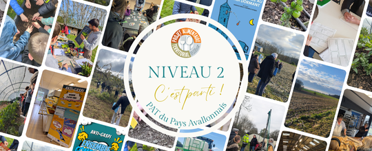 PAT niveau 2