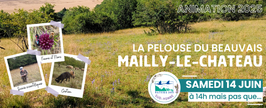 Animation Natura 2000 Mailly