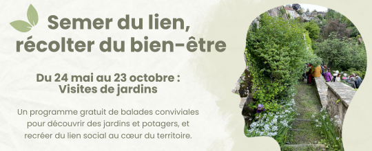 Semer du lien, récolter du bien-être