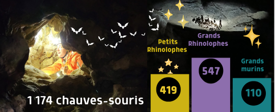 Bilan chiro hiver25-26