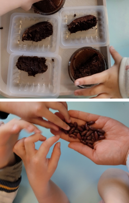 Atelier protéines végé resto co