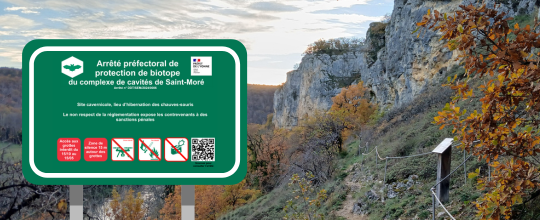 APPB grottes Saint-Moré