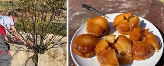 CLEAlim collège 2025-2026