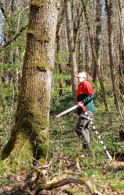 Contrat forestier Voutenay