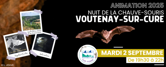 Animation Natura 2000 Nuit de la chauve-souris