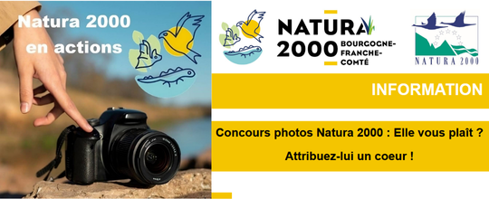 Concours photos