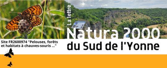 Contrat Natura 2000 pelouse sèche Precy-le-Sec