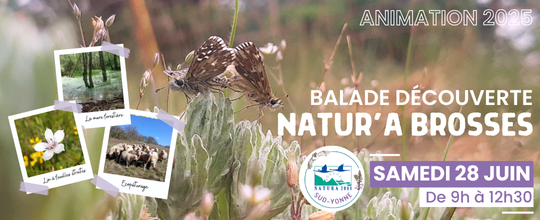 Animation Natura 2000 Brosses