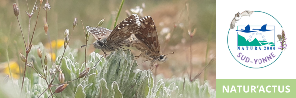 Bannière Infolettre Natur'Actus