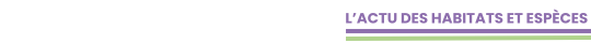 L'actu des habitats et espèces