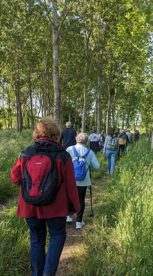 Randonnées adaptées en avallonnais