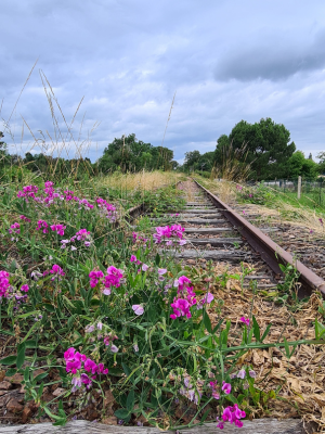 voie verte du pnr